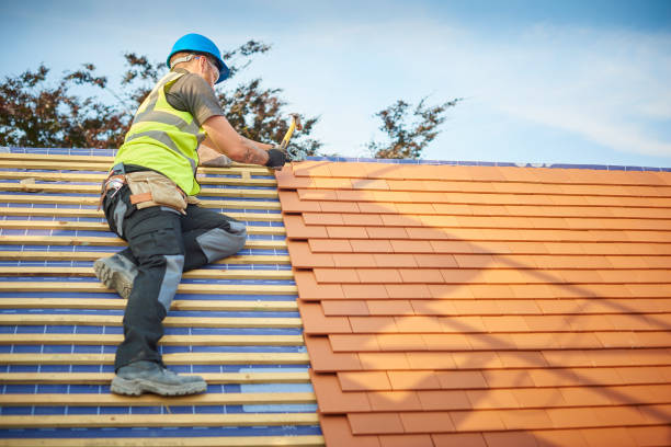 Best Metal Roofing Installation  in Linden, TN